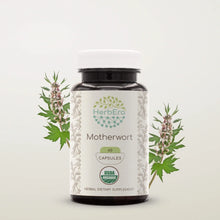 Load image into Gallery viewer, Motherwort Capsules herbera Motherwort Capsules herbera Capsules