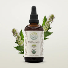 Load image into Gallery viewer, Motherwort Tincture