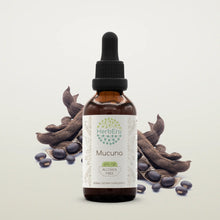 Load image into Gallery viewer, Mucuna Tincture