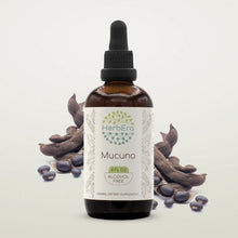 Load image into Gallery viewer, Mucuna Tincture