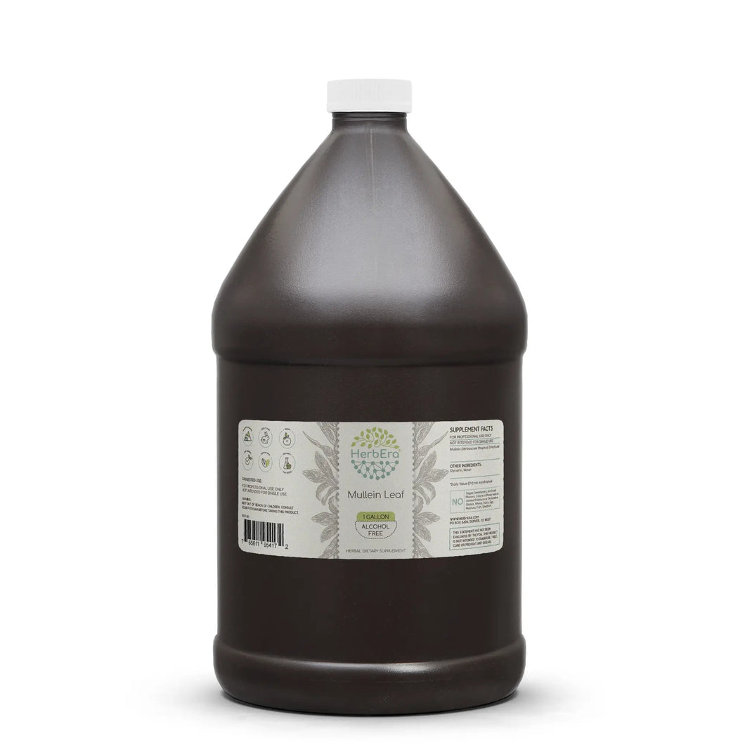 Mullein Leaf Tincture herbera Mullein Leaf Tincture herbera Herbal Extract