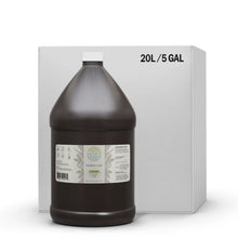 Load image into Gallery viewer, Mullein Leaf Tincture herbera Mullein Leaf Tincture herbera Herbal Extract