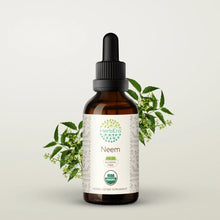 Load image into Gallery viewer, Neem Tincture herbera Neem Tincture herbera Herbal Extract