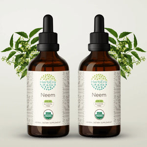 Neem Tincture herbera Neem Tincture herbera Herbal Extract