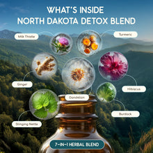 Load image into Gallery viewer, North Dakota Detox Blend HerbEra North Dakota Detox Blend HerbEra Formula