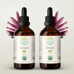 Onion Tincture herbera Onion Tincture herbera Herbal Extract