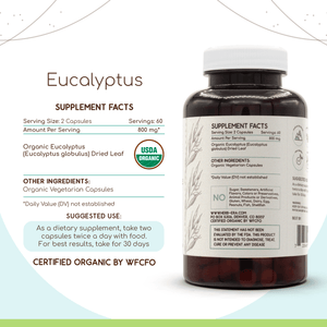 Eucalyptus Capsules