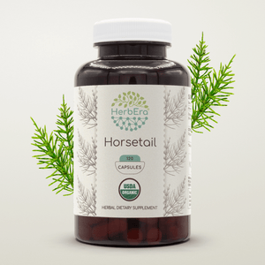 Horsetail Capsules