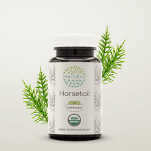 Load image into Gallery viewer, Horsetail Capsules herbera Horsetail Capsules herbera Capsules