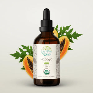 Papaya Tincture herbera Papaya Tincture herbera Herbal Extract