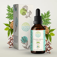Load image into Gallery viewer, Parasitix Cleanse Tincture herbera Parasitix Cleanse Tincture herbera Formula