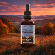 Load image into Gallery viewer, Pennsylvania Detox Blend HerbEra Pennsylvania Detox Blend HerbEra Formula