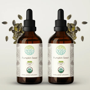 Pumpkin Seed Tincture herbera Pumpkin Seed Tincture herbera Herbal Extract