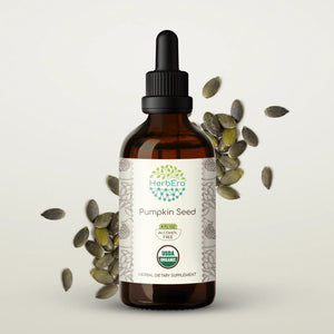 Pumpkin Seed Tincture herbera Pumpkin Seed Tincture herbera Herbal Extract