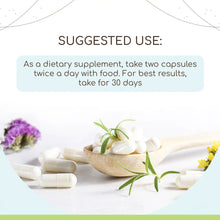 Load image into Gallery viewer, Buy Quassia Capsules online - HerbEra