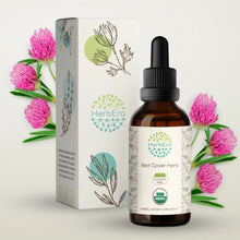 Load image into Gallery viewer, Red Clover Herb Tincture herbera Red Clover Herb Tincture herbera Herbal Extract