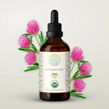 Load image into Gallery viewer, Red Clover Herb Tincture herbera Red Clover Herb Tincture herbera Herbal Extract