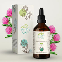 Load image into Gallery viewer, Red Clover Herb Tincture herbera Red Clover Herb Tincture herbera Herbal Extract