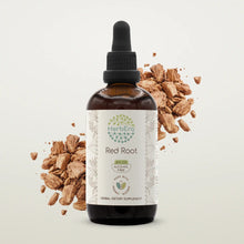 Load image into Gallery viewer, Buy Red Root Tincture online - HerbEra