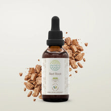 Load image into Gallery viewer, Buy Red Root Tincture online - HerbEra