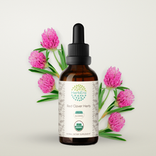 Load image into Gallery viewer, Red Clover Herb Tincture