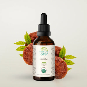 Reishi Tincture herbera Reishi Tincture herbera Herbal Extract