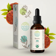 Load image into Gallery viewer, Reishi Tincture herbera Reishi Tincture herbera Herbal Extract