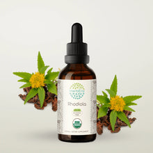 Load image into Gallery viewer, Rhodiola Tincture herbera Rhodiola Tincture herbera Herbal Extract