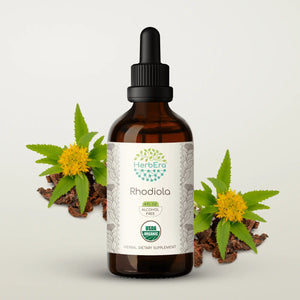 Rhodiola Tincture herbera Rhodiola Tincture herbera Herbal Extract