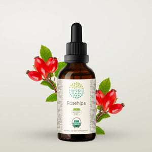 Rosehips Tincture herbera Rosehips Tincture herbera Herbal Extract