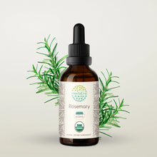 Load image into Gallery viewer, Rosemary Tincture herbera Rosemary Tincture herbera Herbal Extract