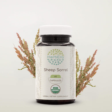 Sheep Sorrel Capsules herbera Sheep Sorrel Capsules herbera Capsules