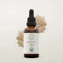 Load image into Gallery viewer, Slippery Elm Tincture