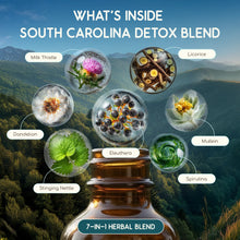 Load image into Gallery viewer, Buy South Carolina Detox Blend Tincture today