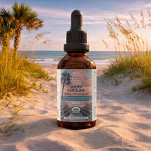 Load image into Gallery viewer, Buy South Carolina Detox Blend Tincture online