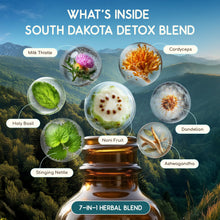 Load image into Gallery viewer, South Dakota Detox Blend HerbEra South Dakota Detox Blend HerbEra Formula