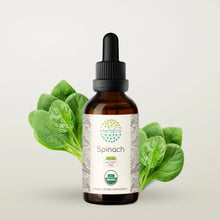 Load image into Gallery viewer, Spinach Tincture herbera Spinach Tincture herbera Herbal Extract