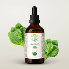 Load image into Gallery viewer, Spinach Tincture herbera Spinach Tincture herbera Herbal Extract