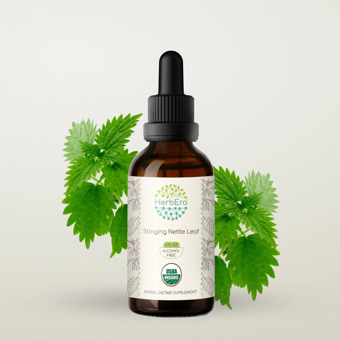 Stinging Nettle Leaf Tincture - Supports Joint & Mobility – HerbEra