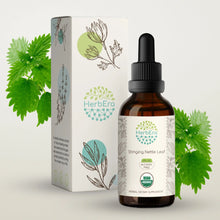 Load image into Gallery viewer, Stinging Nettle Leaf Tincture herbera Stinging Nettle Leaf Tincture herbera Herbal Extract