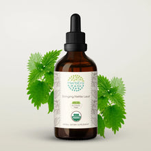 Load image into Gallery viewer, Stinging Nettle Leaf Tincture herbera Stinging Nettle Leaf Tincture herbera Herbal Extract