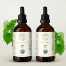 Load image into Gallery viewer, Stinging Nettle Leaf Tincture herbera Stinging Nettle Leaf Tincture herbera Herbal Extract