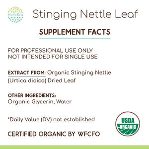 Stinging Nettle Leaf Tincture herbera Stinging Nettle Leaf Tincture herbera Herbal Extract