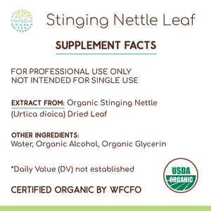 Stinging Nettle Leaf Tincture herbera Stinging Nettle Leaf Tincture herbera Herbal Extract