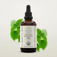 Load image into Gallery viewer, Buy Stinging Nettle Root Tincture online - HerbEra
