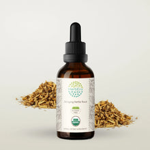 Load image into Gallery viewer, Stinging Nettle Root Tincture herbera Stinging Nettle Root Tincture herbera Herbal Extract