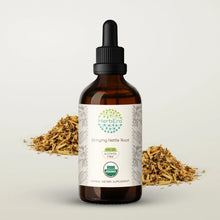 Load image into Gallery viewer, Stinging Nettle Root Tincture herbera Stinging Nettle Root Tincture herbera Herbal Extract