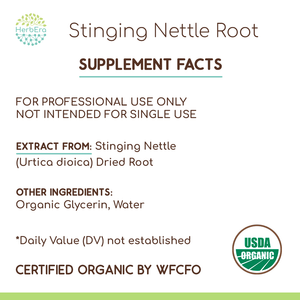 Stinging Nettle Root Tincture herbera Stinging Nettle Root Tincture herbera Herbal Extract