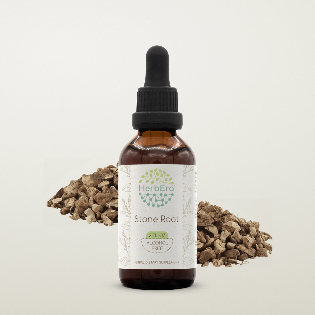 Stone Root Tincture HerbEra Stone Root Tincture HerbEra Herbal Extract