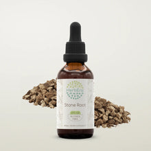 Load image into Gallery viewer, Stone Root Tincture HerbEra Stone Root Tincture HerbEra Herbal Extract